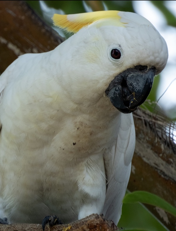 Photo credit: Rae Ng