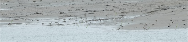 Photo credit: T.Ramesh