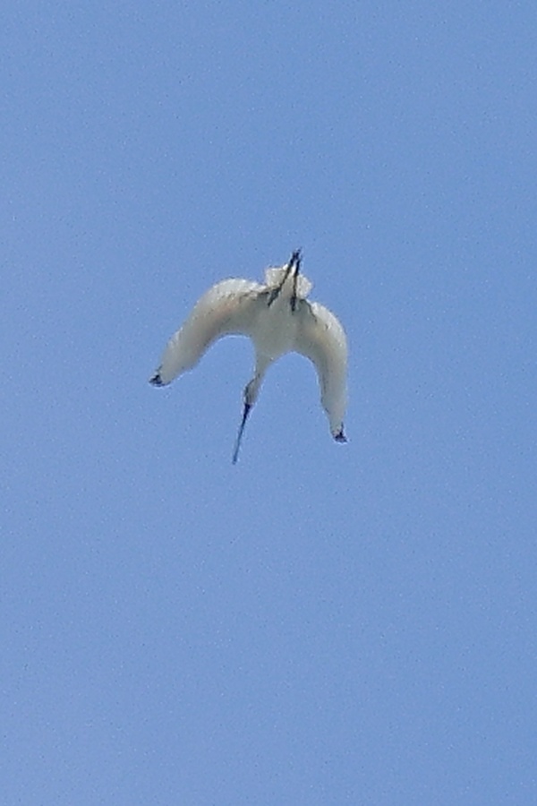 Photo credit: Low Chong Yang