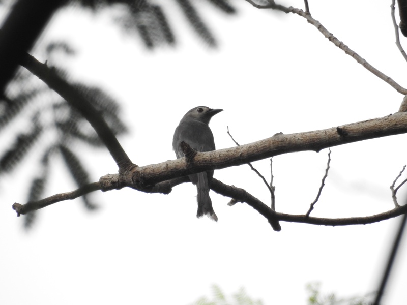 Photo credit: Xu Weiting