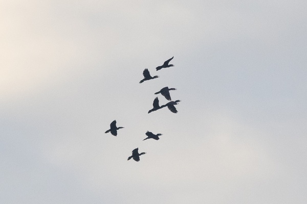 Photo credit: Vincent Choong Keng Hoe